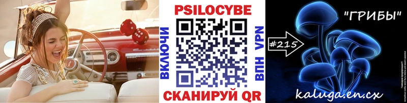 купить закладку  Судак  Псилоцибиновые грибы мухоморы 