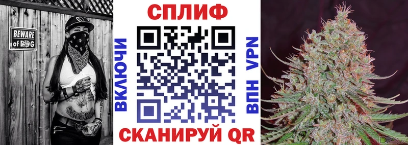 Конопля Ganja  Судак 
